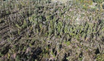 Off Hwy F, Annapolis, MO 63620