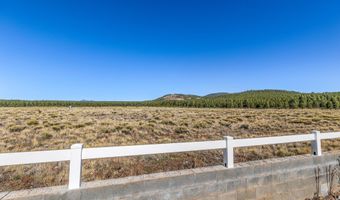 11798 Monarch Dr, Bellemont, AZ 86015
