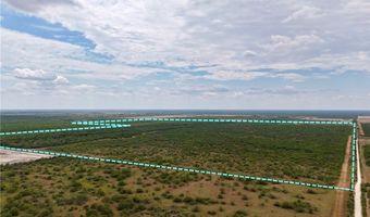 CR 119, Alice, TX 78332