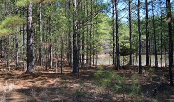 415229 N Hall Rd, Antlers, OK 74523