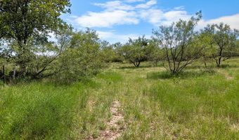 000 CR 539, Hico, TX 76457