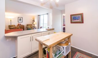 1050 Wall St 3C, Ann Arbor, MI 48105
