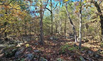 TBD Raw Land, Bates, AR 74953