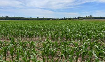 N 300 Road, Baldwin City, KS 66006