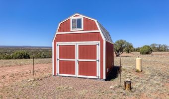 61 Blue Diamond ACR 5525, Concho, AZ 85924