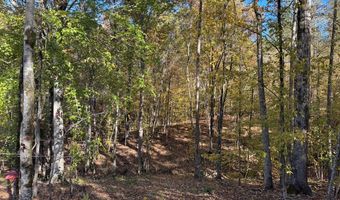 Hwy 9, Bruce, MS 38915