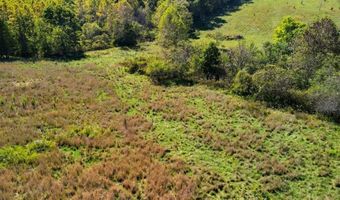 3850 Private Drive 3220, Ava, MO 65608