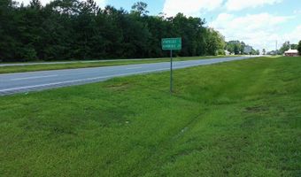 7821 Tallahassee Hwy 8.98+/- Acres, Attapulgus, GA 39815