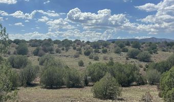 29 Of An Un Named Rd, Ash Fork, AZ 86320
