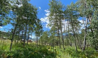 247 Anderson Dr, Crested Butte, CO 81224