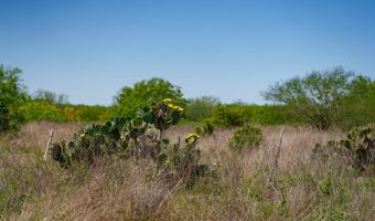 FM 735, Alice, TX 78332