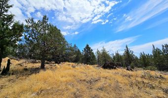 Canvasback Drive 28, Bonanza, OR 97623