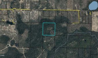 NW Camp Head Road, Altha, FL 32421