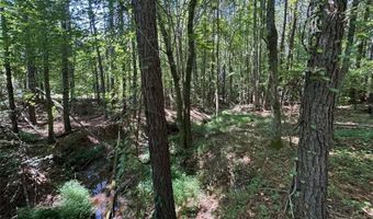 63 Hickory Crk, Acworth, GA 30101