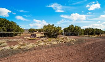 45 County Road 8093, Concho, AZ 85924