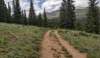 0 Snow Cap Peaks Rd, Alma, CO 80402
