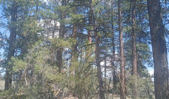 Toddy Drive Lots 18,19,&20, Beatty, OR 97621
