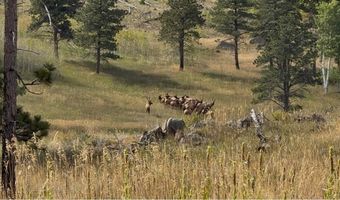 14884 Rist Canyon Rd, Bellvue, CO 80512