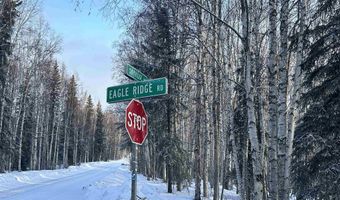 NHN EAGLE RIDGE ROAD, Fairbanks, AK 99712