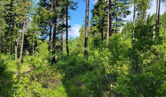 NNA Snowcat Lane, Bonners Ferry, ID 83805