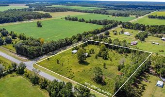 1949 County Road 341, Bell, FL 32619