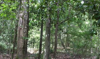 00 Pinola Braxton Rd, Braxton, MS 39044