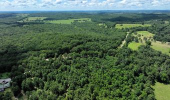 State Highway U, Ava, MO 65608