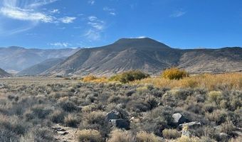 700 Davis Meadow Trl, Dyer, NV 89010