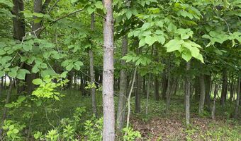 Mallard Drive, Alger, MI 48610