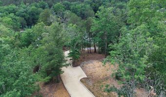 RON THAMES Rd lot 13, Arley, AL 35541