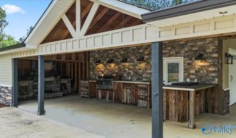 545 Pan Creek Rd, Baileyton, AL 35019