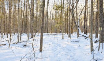 Lot 80-1 Currier Road, Candia, NH 03034
