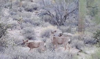 240 S Alley Rd, Ajo, AZ 85321