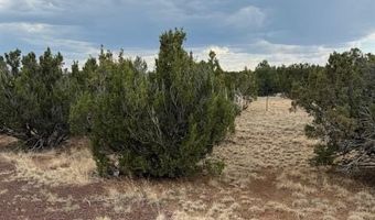 78 County Road 8010, Concho, AZ 85924