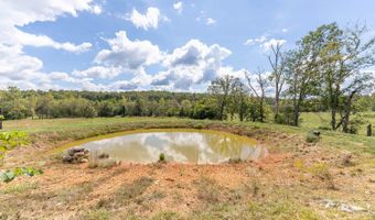 1100 County Road 300, Alton, MO 65606