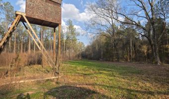 U.S. Highway 51, Bogue Chitto, MS 39629
