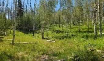 40 Acres Summit Mountain Rd, Brian Head, UT 84719