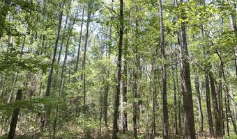 Highway 17A, Bonneau, SC 29431