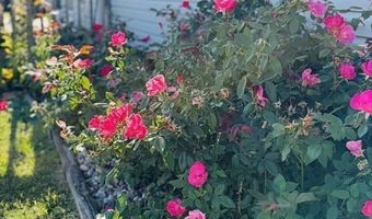 22 Beech Hill Rd, Agawam, MA 01030
