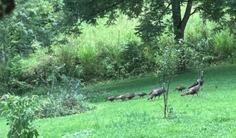 679 New Hope Church Rd, Barbourville, KY 40906