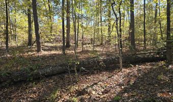 7501 Rainey Morris Rd, Appling, GA 30802