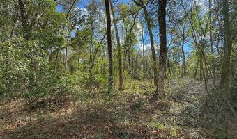 SW 14th Pl, Bell, FL 32619