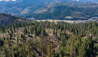 NKA 262 Ac N Side Rd, Calder, ID 83808
