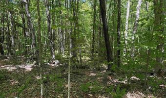Map 5 Lot 14-3 Stockbridge Corner Road, Alton, NH 03809