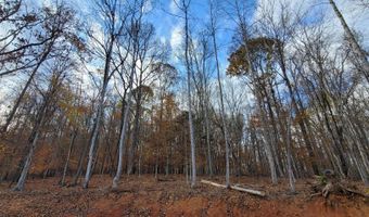 Park Lane, Andersonville, TN 37705