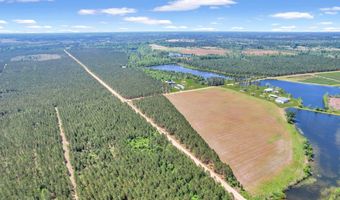 Tract 1 Sanderling, Alma, GA 31510