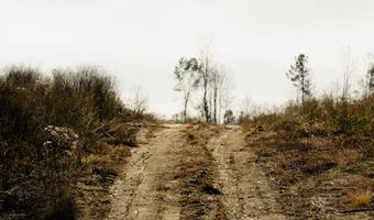 US Hwy 98, Beaumont, MS 39423