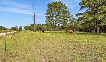 6779 County Road 215, Anderson, TX 77830