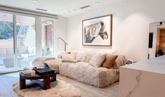 100 E Cooper Ave 4, Aspen, CO 81611