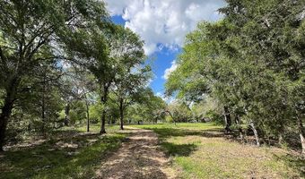 6925 S Sycamore Crossing Rd, Bellville, TX 77418